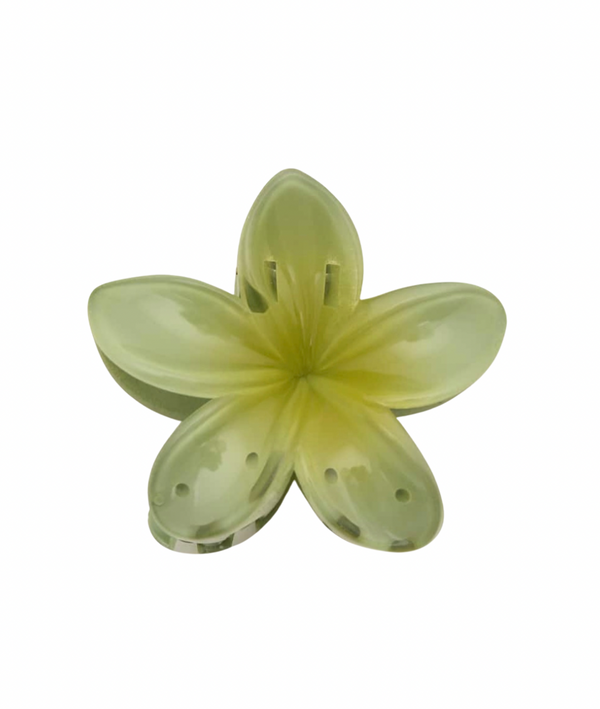 Matcha Baby Hibiscus Hair-clip